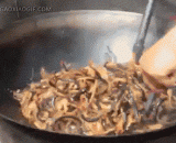 Centipede living centipede,活蜈蚣下锅