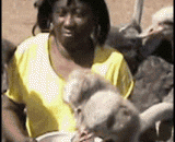 Ostrich is a kind of upright creature that can not be disguised by others.,鸵鸟，是一种见不得别人搞伪装的正直生物