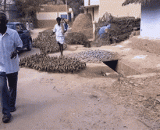 Hundreds of ducks, to see how foreigners can catch up with [4P].,成百上千只鸭子，看看老外如何赶鸭子上架[4P]