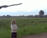 如何作弄遛狗的主人 - How to walk the dog's owner