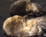 白：偷偷牵手 - White: stealthily hand in hand