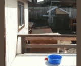 Yang Jun, that's a good way to do it,羊君，身手真不错