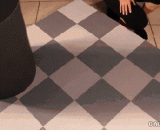 Chessboard shadow illusion,棋盘阴影错觉