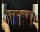 防偷新技能 - Anti stealing new skills