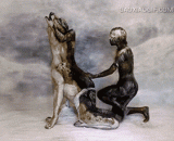 狼之人体彩绘 - Human body painting of wolves