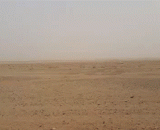 Opening a bulldozer in the desert is a wayward!,在沙漠开推土机就是任性！