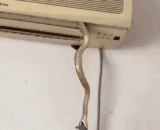 谁能想到，空调居然还自带捕鼠功能… - Who could have thought that the air conditioner even had its own function of catching mice?