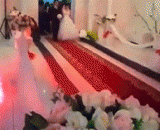 新娘子入场，人见人爱，花见花开，棒棒的创意 - Brides come in, people love, flowers bloom, Bang Bang's creativity.