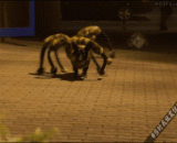 A big spider on the roadside, the spoof of foreigners has reached such a level.,路边一只大蜘蛛，老外的恶搞已经到了这等地步！