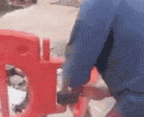 My swimming pool is a bit special,我家的游泳池有点特别