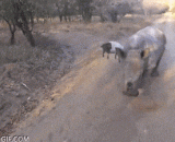 Follow my rhythm and get up,跟着我的节奏嗨起来