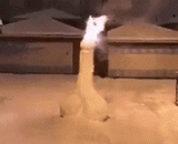 Put a fireworks in advance and wish you a big chicken in the year,放个烟花提前祝大家鸡年大吉吧