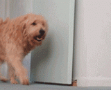 无限复制无限循环永不停止的gif动图[7P] - Infinite copy infinite loop gif [7P] with never-ending motion graph