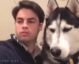 When watching TV with the main bank, there is an unsuitable picture for children.,和主银一起看电视时，出现一个少儿不宜的画面