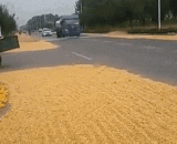 马路洒水和马路晒粮食，哪个更缺德？ - Which is more moral?