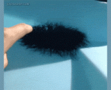 To see the mixed blue and thin scalp,看得混森蓝瘦头皮发麻