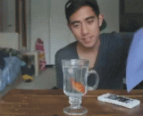 变金鱼颜色，咦！我的鱼呢 - Change the color of goldfish, Gee! What about my fish