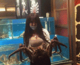 好大一只蟹啊 - It's a big crab.