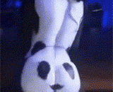 Can you feed this panda,这个熊猫你能喂饱吗