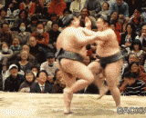 死胖子真以为我跟你玩儿呢？！啊哒！！ - The fat man really thinks I'm playing with you?! Ah Da!!!