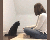 女主人跟猫咪互动，哈哈哈它竟然能配合到如此程度，太厉害了 - The hostess with the cat interaction, ha ha ha it can fit to such an extent that too much