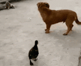 Is this sexual harassment,这属于性骚扰吗