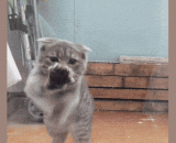 公司新上岗的保洁员，正在辛勤地擦玻璃，看来还是蛮称职的 - The new cleaner of the company is working hard to clean the glass. It seems quite competent.