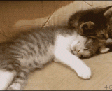 我的柔软，超乎你想象!! - My soft, beyond your imagination!