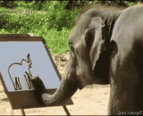 The elephants have painted themselves out,大象君居然把自己画出来了