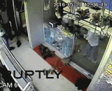 猴子抢劫了珠宝店，印度连猴子都开挂 - The monkey robbed the jewellery shop. India even opened the monkeys.