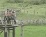 On the importance of losing weight,论减肥的重要性