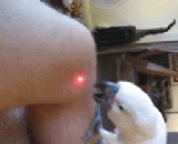 鹦鹉君抓起来的样子有点萌啊 - The way the parrot grabbed a bit of it