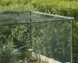 卧槽！熊孩子来了！！快赶它走！！ - What the fuck！ The bear child is here! Hurry up!!!