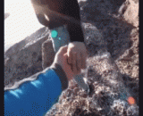 屌注孤！不要我捡走了啊 - The Diao note is lonely! Don't pick it up