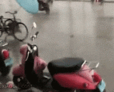 喂喂喂！你超速了…… - Feed and feed! You're speeding...