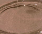 The reaction of blood dripping into hydrogen peroxide,血液滴入过氧化氢中的反应