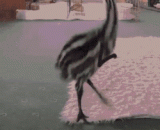 给鸵鸟宝宝加上个手后，萌翻了[3P] - After adding a hand to the ostrich baby, it sprouts [3P]