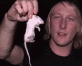 生吃死老鼠 - Eat dead mice