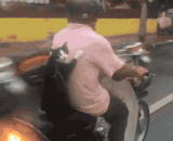 一只跟主人一起坐摩托车兜风的猫咪 - A cat with a motorbike ride with his master