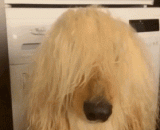 据说电视剧里的绝世高手出场时都是这个样子 - It is said that the best players in the TV play are like this.