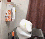 别拦着我，我要红烧了它！ - Don't stop me, I'm going to burn it!