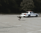 Drive quickly, it's too late to explain to you,快点开车走，已经来不及和你解释了