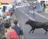 房顶也抵挡不住公牛 - The roof can not resist the Bulls