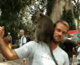 太污了我的猴......单身狗好痛苦，不能上别的地方秀吗？ - It's too dirty for my monkey... Single dogs are so miserable that they can't go anywhere else.