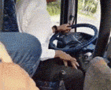 一名精致的司机 - A fine driver.