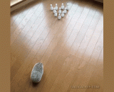 Hedgehog bowling, this ball is not round enough,刺猬保龄球，这球不够圆啊