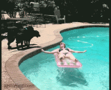 Don't be too sexy in front of a male dog,在公狗面前不要太性感