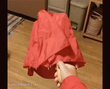 那天开开心心的买了把自动雨伞，回来后打开... - That day, I bought an automatic umbrella happily and came back to open it.