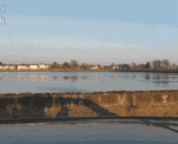 远方冲浪板上发现一只萌物[2P] - A sprout [2P] was found on a distant surfboard