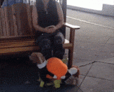 穿这身衣服和主银逛街回头率贼高了 - It's high to wear this clothes and the main silver shopping.